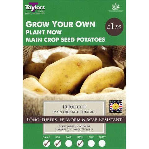 Taylors Potatoes Taylors seed potatoes Juliette 10 tubers