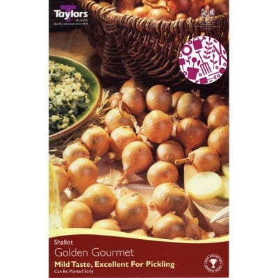 Taylors Taylors Shallot Golden Gourmet - 12 pack