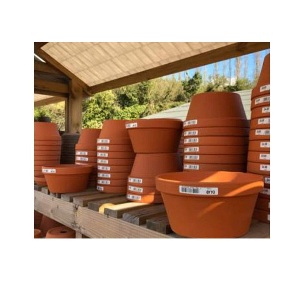 Woodlodge Planters & Pots Terracotta Bowl