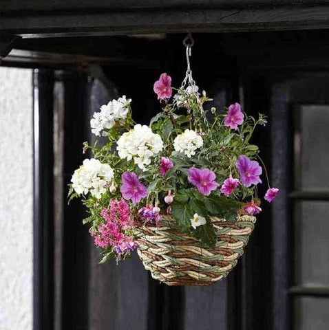 Smart Garden Hanging Baskets Trinity Hanging Basket