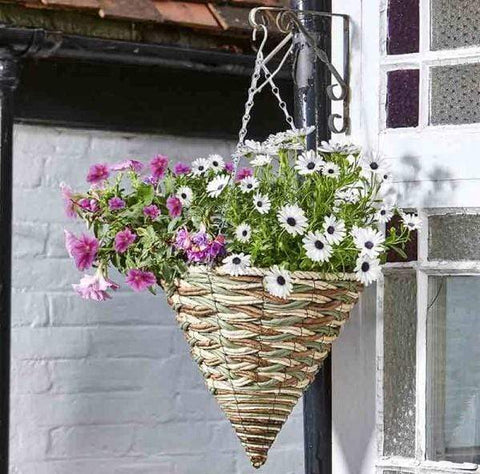 Smart Garden Hanging Baskets Trinity Hanging Cone