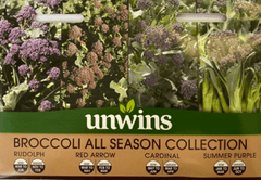 Unwins Broccoli Seeds Unwins All Season Broccoli Collection Seeds