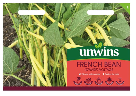 Unwins Vegetable Seeds Unwins Bean French Dwarf Voltage