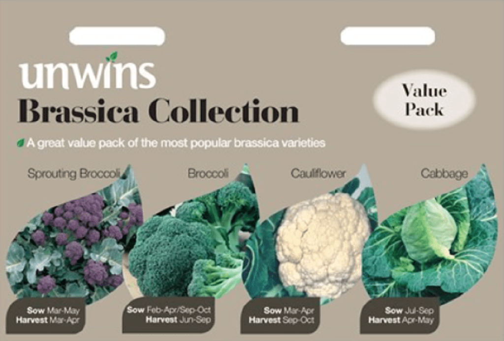 Unwins Brassica Seeds Unwins Brassica Collection Seeds