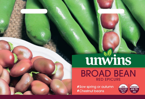 Unwins Vegetable Seeds Unwins Broad Bean Red Epicure