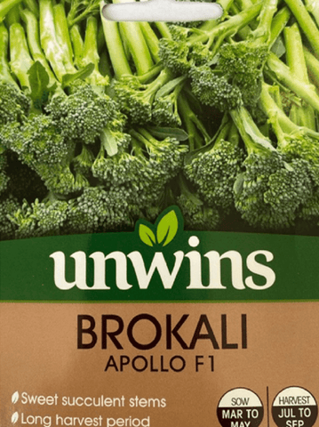 Unwins Broccoli Seeds Unwins Brokali Apollo F1 Seeds