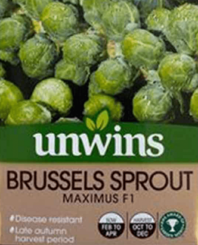 Unwins Brussel Sprout Seeds Unwins Brussel Sprout Maximus F1 Seeds