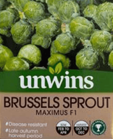 Unwins Brussel Sprout Seeds Unwins Brussel Sprout Maximus F1 Seeds