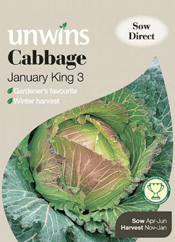 Unwins Cabbage Seeds Unwins Cabbage Round January King 3 Seeds
