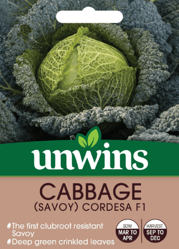 Unwins Cabbage Seeds Unwins Cabbage Savoy Cordesa F1 Seeds