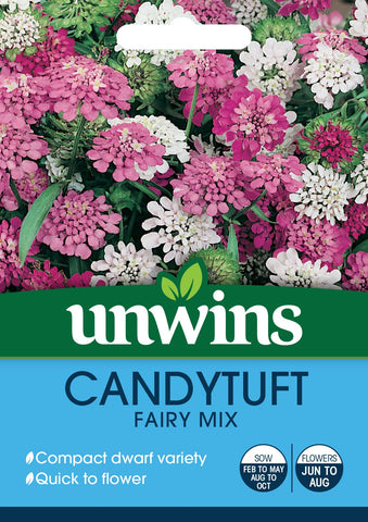 Unwins Flower Seeds Unwins Candytuft Dwarf Fairy Mix