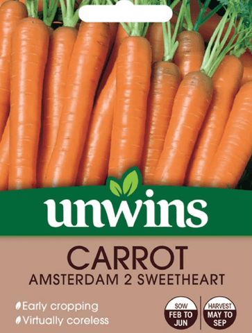 Unwins Carrot Seeds Unwins Carrot Amsterdam 2 Sweetheart Seeds