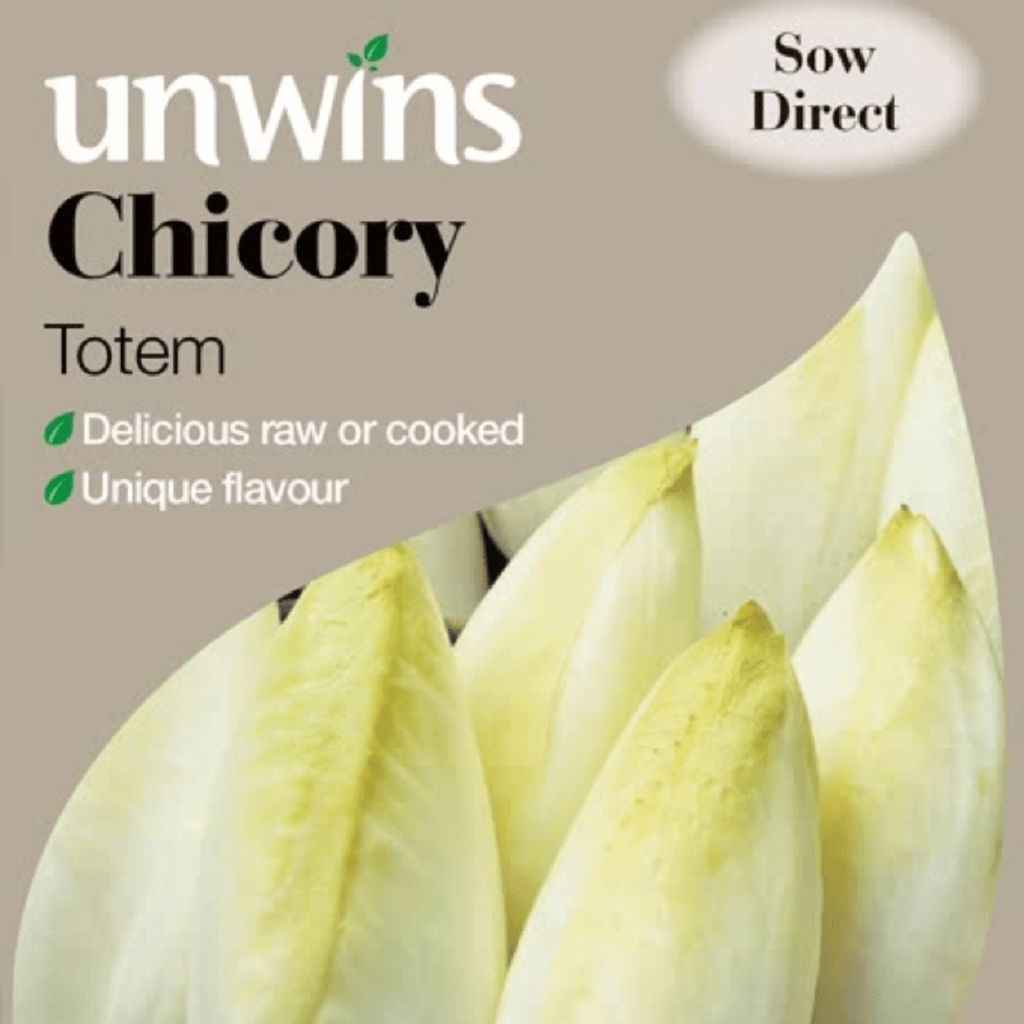 Unwins Chicory Seeds Unwins Chicory Totem Seeds