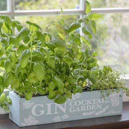 Unwins Herbs Unwins - Gin Cocktail Herb Garden
