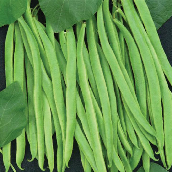 Unwins Vegetable Seeds Unwins Runner Bean Equator