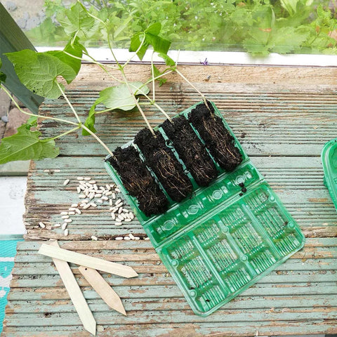 Westland Horticulture Deep Root Cells Visiroot 4 cell deep 12 pack (48 cells)