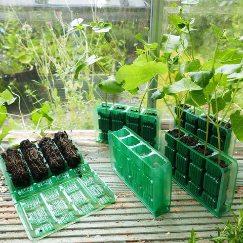 Westland Horticulture Deep Root Cells Visiroot 4 cell deep 12 pack (48 cells)