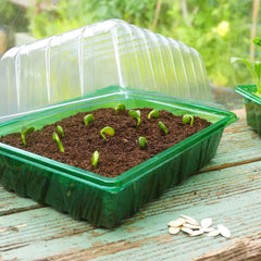 Westland Horticulture Seed Trays Visiroot Half seed tray pack of 8