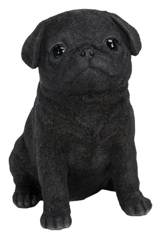 Vivid Arts Indoor & Outdoor Ornaments Vivid Arts Pet Pal Pug Puppy