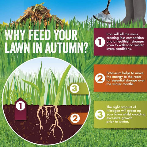 Westland Horticulture Autumn Lawn Care Westland Aftercut All in One Autumn Lawn Feed & Moss Killer 400m2