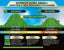 Westland Horticulture Lawn Care Products Westland Aftercut Ultra Green 100m2