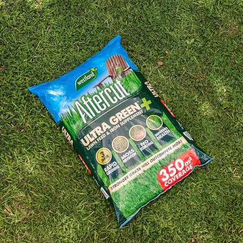 Westland Horticulture Lawn Feed Westland Aftercut Ultra Green Plus 350m2