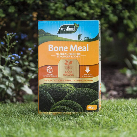 Westland Horticulture Garden Plant Feeds Westland Bone Meal 4kg