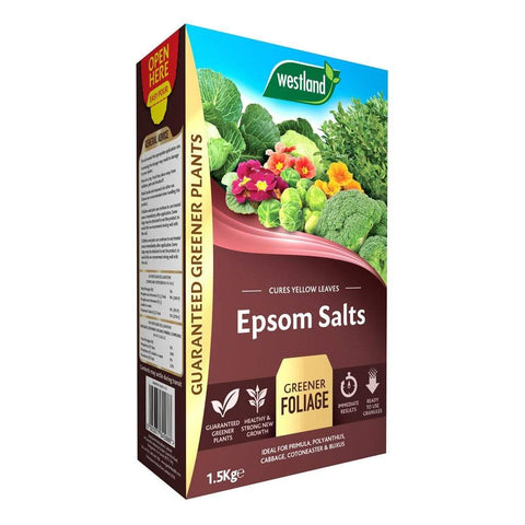 Westland Horticulture Garden Plant Feeds Westland Epsom Salts 1.5kg