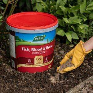 Westland Horticulture Garden Plant Feeds Westland Fish Blood and Bone 10kg