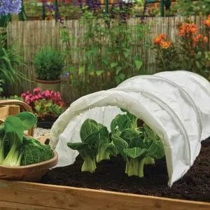 Trowell Garden Centre Westland Fleece Frost Guard 8 x 1.5cm