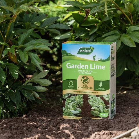 Westland Horticulture Garden Plant Feeds Westland Garden Lime 4kg