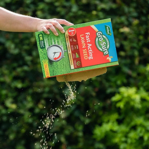 Westland Horticulture Lawn Seed Westland Gro-Sure Fast Acting Lawn Seed 30m2