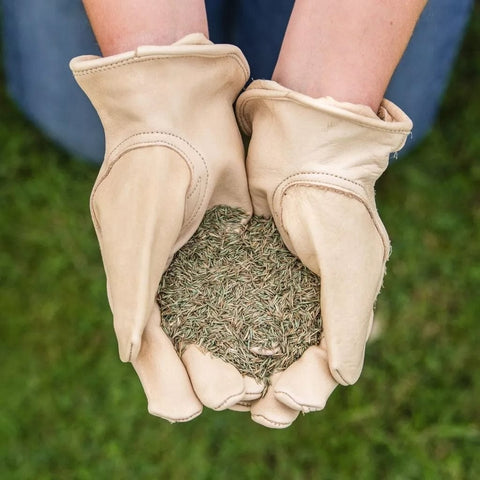 Westland Horticulture Lawn Seed Westland Gro-Sure Fine & Luxurious Lawn Seed 100m2