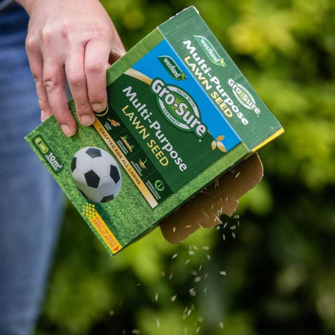 Westland Horticulture Lawn Seed Westland Gro-Sure Multi Purpose Lawn Seed