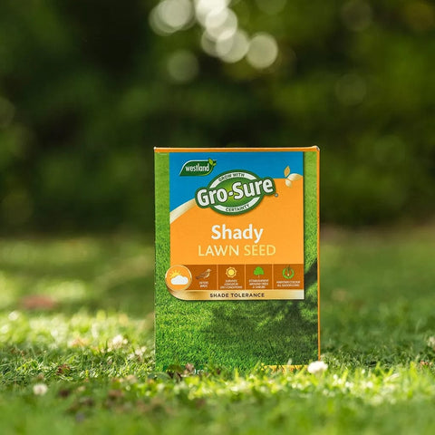 Westland Horticulture Lawn Seed Westland Gro-Sure Shady Lawn Seed 10m2 Box