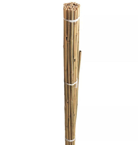 Westland Horticulture plant support Westland Grow it Bamboo Plant Support Canes 120cm pack of 20