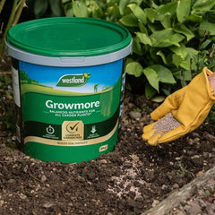 Westland Horticulture Growmore Westland Growmore 10kg