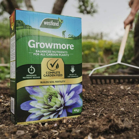 Westland Horticulture Growmore Westland Growmore 4 kg