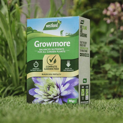 Westland Horticulture Garden Plant Feeds Westland Growmore 4 kg
