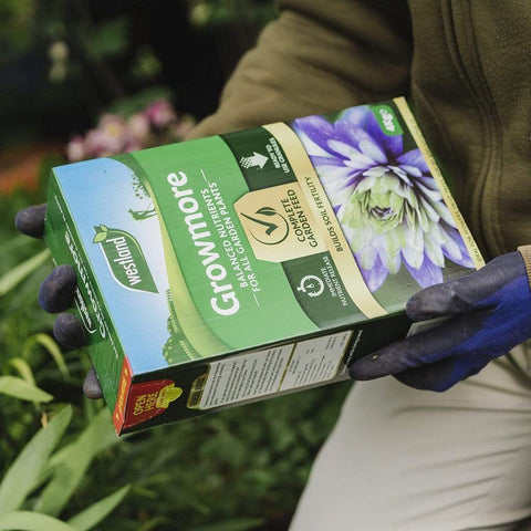 Westland Horticulture Growmore Westland Growmore 4 kg