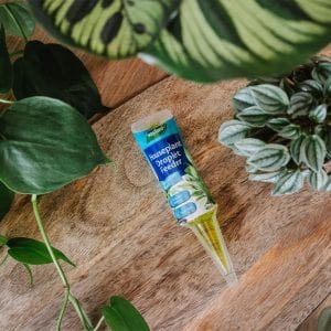 Trowell Garden Centre Westland Houseplant Droplet Feeder