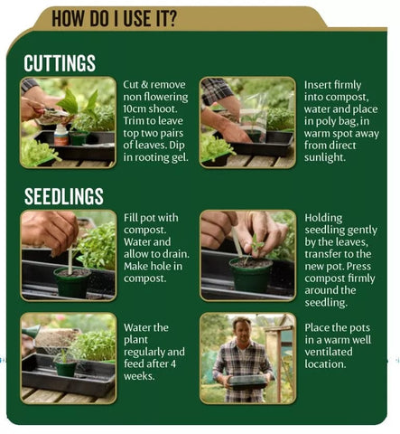 Westland Horticulture Compost Westland John Innes No.1 Young Plant Compost 28 Litres