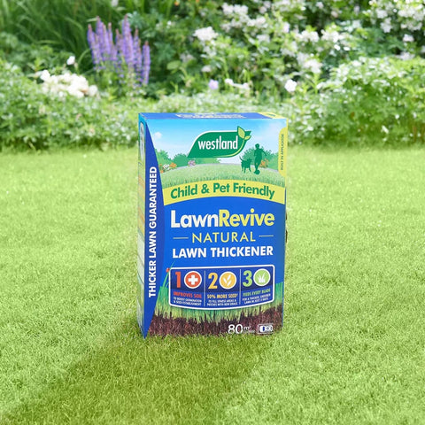 Westland Horticulture Lawn Thickener Westland Lawn Revive 80m2