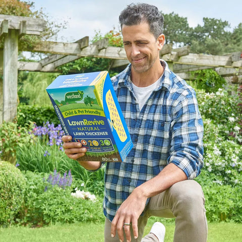 Westland Horticulture Lawn Thickener Westland Lawn Revive 80m2