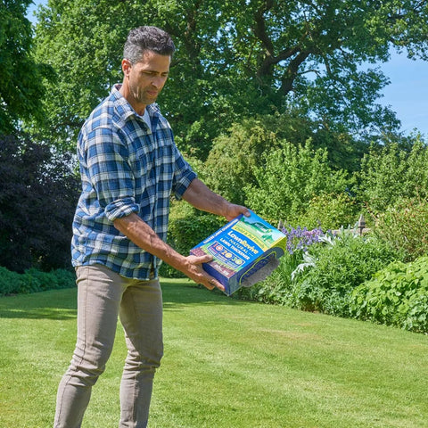 Westland Horticulture Lawn Thickener Westland Lawn Revive 80m2