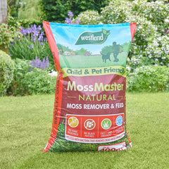Westland Horticulture Lawn Moss Remover Westland Moss Master 400m2 Box
