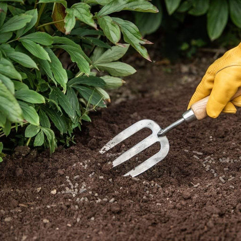 Westland Horticulture Garden Plant Feeds Westland Organic Chicken Manure Pellets 2.25kg + 25% Free