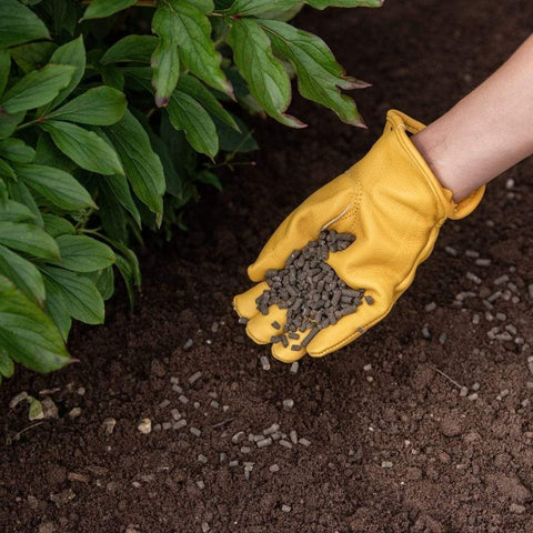 Westland Horticulture Garden Plant Feeds Westland Organic Chicken Manure Pellets 2.25kg + 25% Free