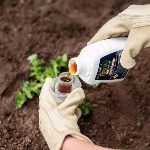 Resolva Weed Control Westland Resolva Pro Xtra Tough Super Concentrate 200ml