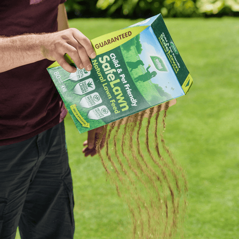 Westland Horticulture Lawn Care Products Westland Safe Lawn Feed 80m2